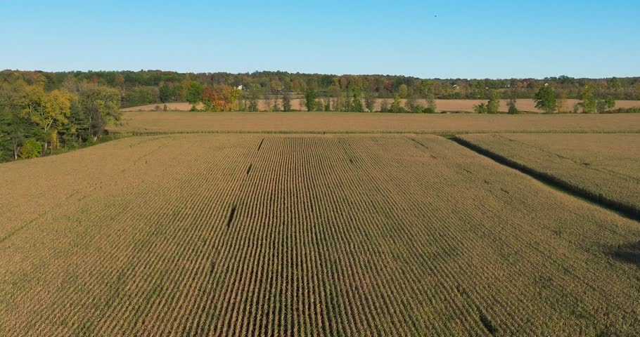 Afternoon autumn - fall aerial video of agricultural fields over the New York State Finger Lakes Region, near Ithaca, New York.	