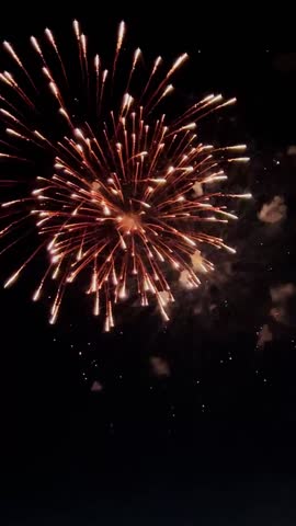 Vertical video of fireworks lighting up the night sky with vibrant colors and dazzling patterns.