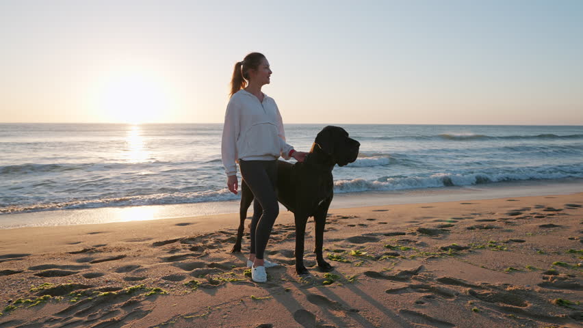 Silhouette woman dog Great Dane stands sandy seashore admiring beautiful skyline at dawn summer. Serene coastal setting warm light highlight companionship relaxation in nature. Pet care. Lifestyle