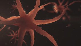 3D rendering Virus neural network transmission animation, Witness retrovirus in body of individual with human immunodeficiency virus. Division of light pink virus.understanding retrovirus replication - Powered by Shutterstock - Get 15% off with code: PIKWIZARD15