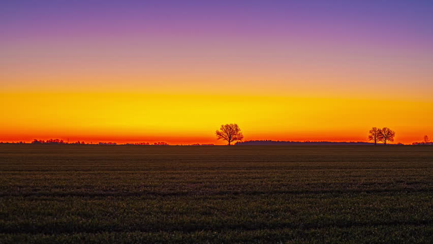 Vibrant sunrise over an open field with two trees silhouetted against a colorful sky