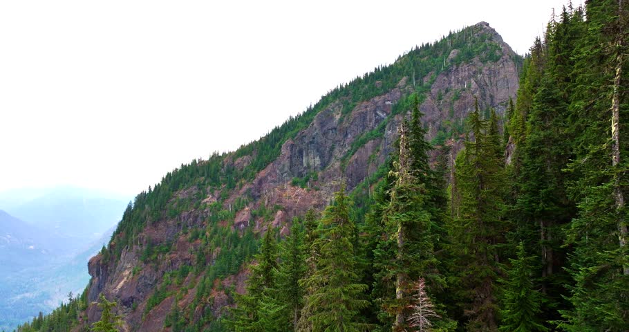 Breathtaking Olympic National Forest Drone Views