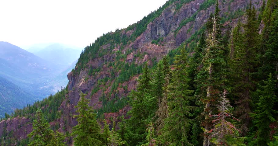 Majestic Peaks and Forests at Olympic National Park