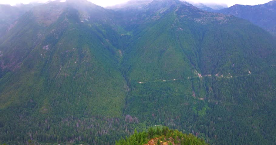 Washington Dense Forest and Mountains Aerial Drone