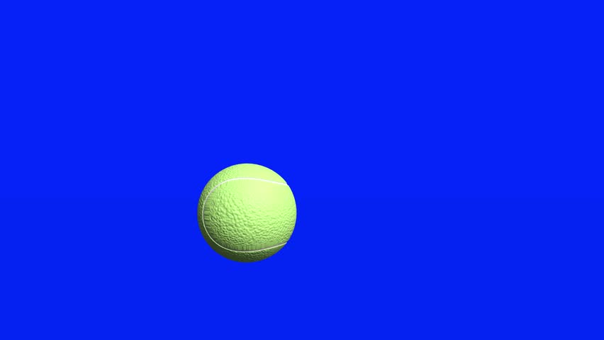Shutterstock Video