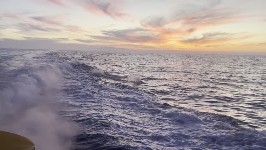 Dolphins leap out of the water at sunset near Channel Islands National Park in Santa Barbara, California. 