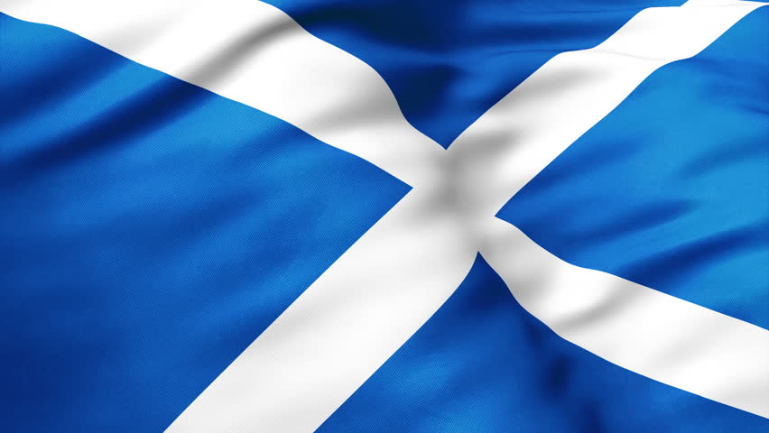 Close up view of Scotland flag video waving in wind. Realistic flag background, fabric textured, perfect loop, official colors, 4K video