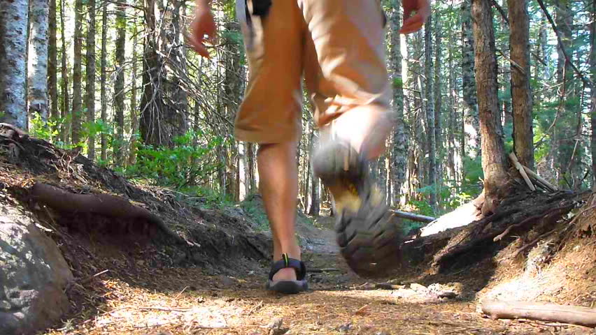 Man hiking away, down trail through thick forest in the Pacific Northwest,