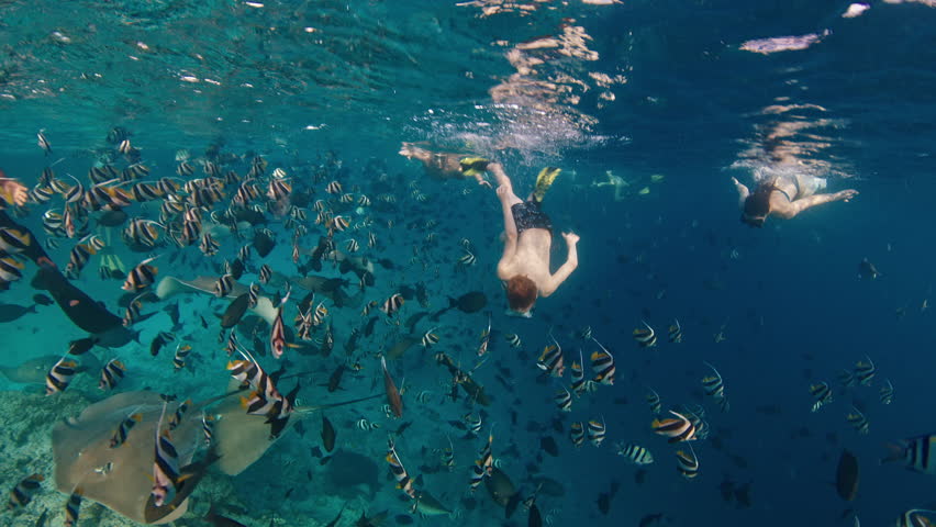 Boy and woman snorkeling with stingrays and fish in the sea. Pre teen boy swims underwater with his mom together they explore vivid marine life in the Maldives