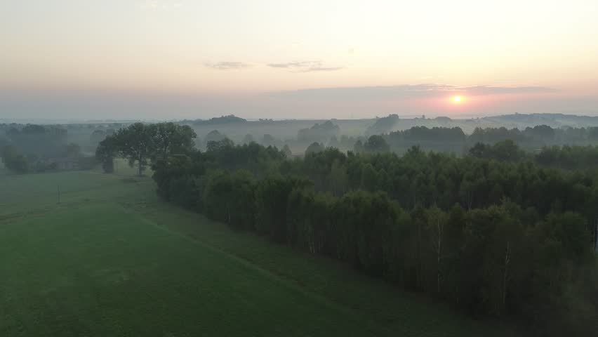 Foggy sunrise over lush green forest landscape