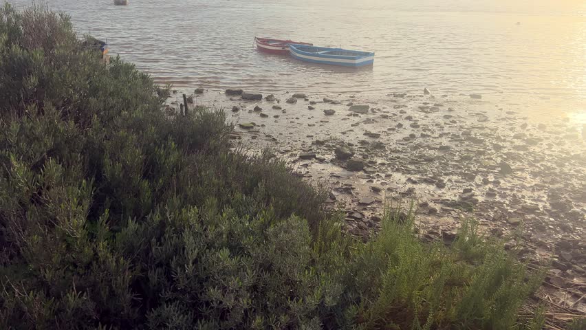 Colorful fishing boats moored in a shallow coastal lagoon. Spanish coast, Mediterranean Sea, summer vacation, tranquility concept.
