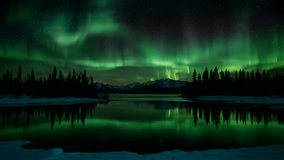 The Aurora Borealis (Northern Lights) light up the night sky with striking green and purple colors. This scene takes place in an area with winter, seen from the partially frozen lake and pine trees - Powered by Shutterstock - Get 15% off with code: PIKWIZARD15