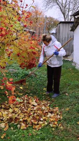 A woman rakes colorful autumn leaves in a cozy backyard surrounded by white-painted buildings. The scene captures the peaceful rhythm of fall with vibrant foliage and cool weather.