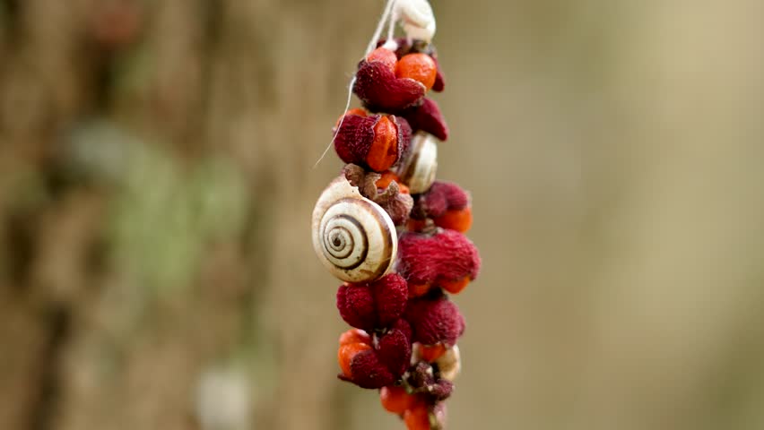 Handmade necklace of berries and shells hanging on a tree branch in the wild forest. Captures eco-conscious style and zen vibes, ideal for nature concepts