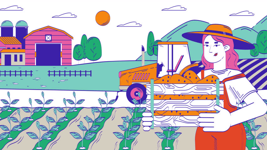 Farmer woman collecting harvest on field doodle cartoon animation. Agriculture 4K video motion graphic. Caucasian countrywoman holding potato crate animated 2D character isolated on white background