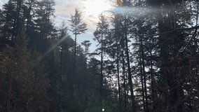 Development Initiatives in Srinagar: Civil Secretariat, Batmaloo, Lal Chowk - A Hub of Jammu and Kashmir Government Progress - Powered by Shutterstock - Get 15% off with code: PIKWIZARD15