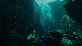 The camera follows a group of scuba divers as they swims inside a beautiful coral canyon, Slow motion, Adventure and marine exploration concept, scubadivers exploring deeps of the Ocean - Powered by Shutterstock - Get 15% off with code: PIKWIZARD15