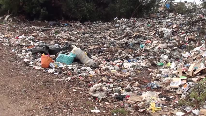 Landfill and a small black puppy | Shutterstock HD Video #3649664