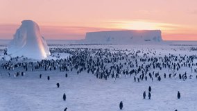 group of emperor penguins together - Powered by Shutterstock - Get 15% off with code: PIKWIZARD15
