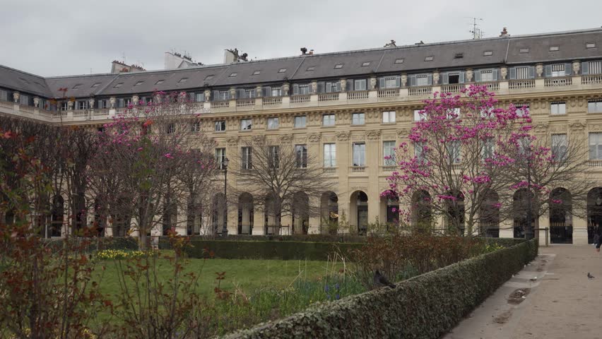 Royal Palace garden, French garden, FRANCE, Paris, High quality 4k footage