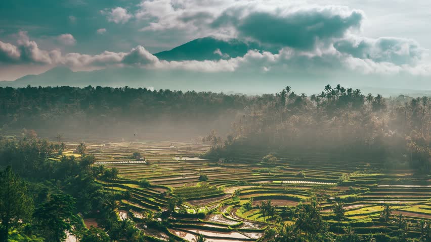 Aerial view of Tabanan Rice paddies in Tabanan, Bali, Indonesia