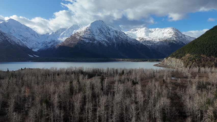 Aerial View of trees in late fall with Lake and White Mountains in background. Alaska
