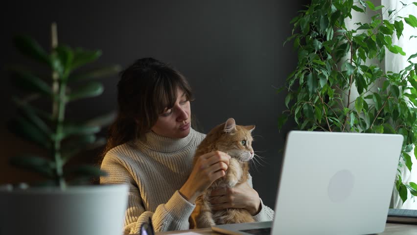 Freelancer enjoying a break from work, cuddling a ginger cat while sitting at her desk. A cozy moment filled with affection and companionship in a home office setting