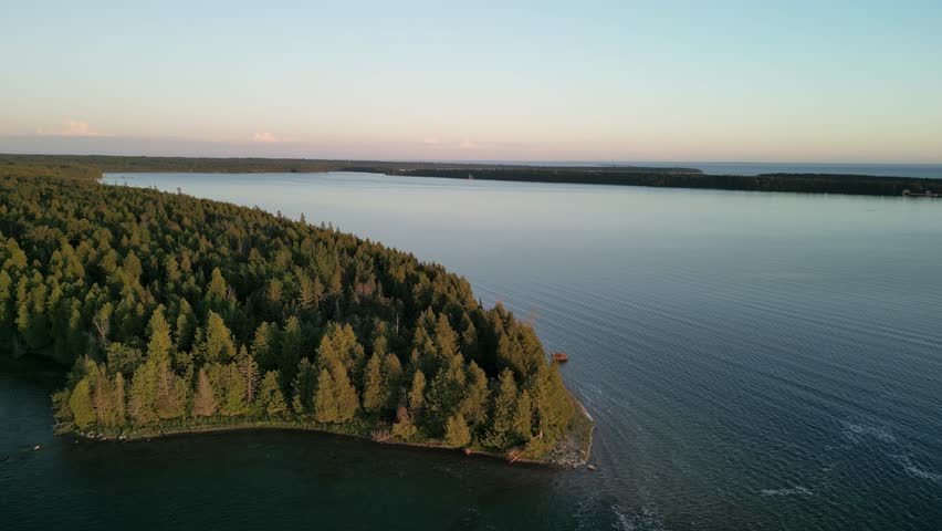 Aerial view of golden hour calm lake with pine trees
