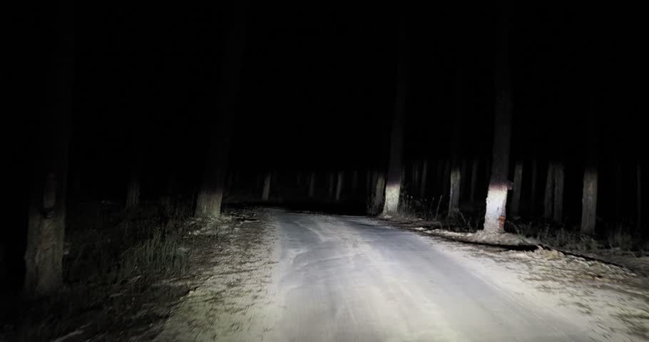Headlights illuminating a dirt road while a car drives through a dark forest creates an eerie, adventurous atmosphere