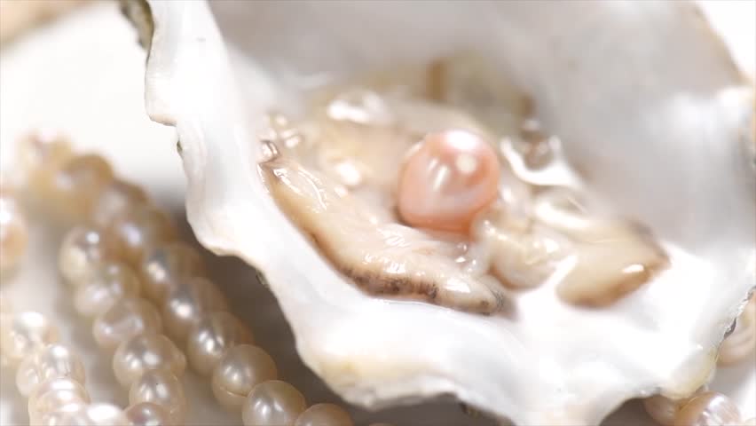 Pearl, Natural pearls inside the oyster shell, close up, rotating. Nacre. Mother-of-pearl. Jewellery. Slow motion. 