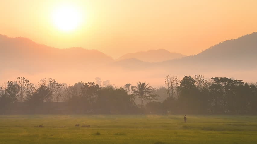 silhouette farmer walk in green field on morning time
