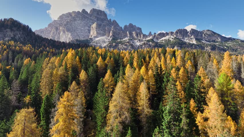 Autumn colors of Dolomites, showcasing vibrant golden larch trees against majestic mountain peaks in Italy. Flying over yellow autumn trees in the mountains. Autumn landscape