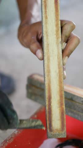 Close up of harvesting black soldier fly eggs to be raised into larvae or maggots at an insect farm for animal feed.