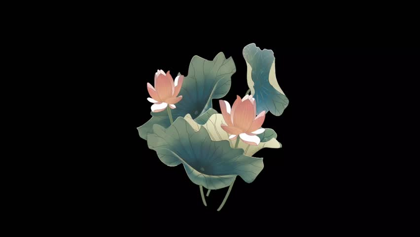 Elegant flower and leaf corner frame animation on a black background, ideal for invitations, titles, or decorative projects with a touch of natural beauty