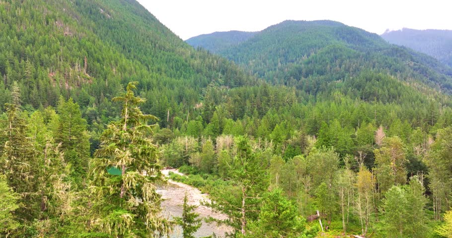 North Cascades National Park Aerial Drone Rivers and Forest