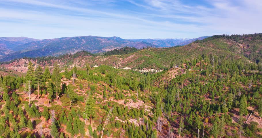 Aerial Drone Green Hills and Forest Boise Idaho