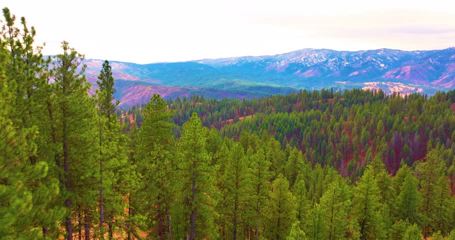 Idaho Boise National Forest Mountains Aerial Drone