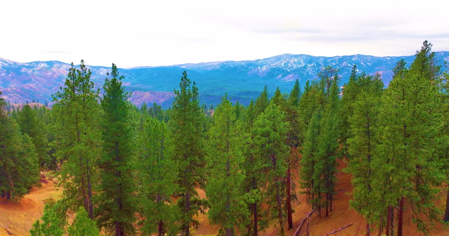 Breathtaking Boise National Forest Drone Flyover