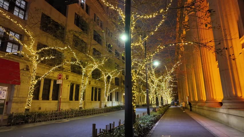 Tokyo Nihonbashi Winter illumination 2024
