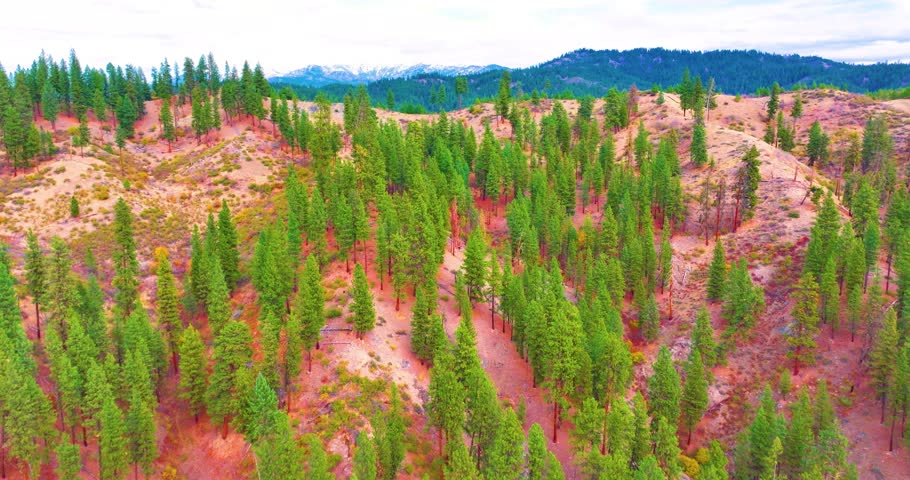 Aerial Drone Boise National Forest Idaho’s Mountain Splendor