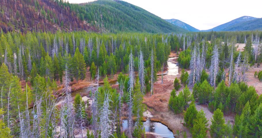 Idaho Mountains and Forest River Aerial Drone
