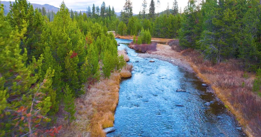 Aerial View of River Surrounded by Forest Idaho