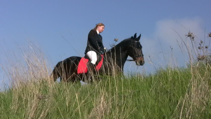 Thoroughbred horse black suit with a young horsewoman hoof beats against the