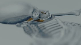 Detailed 3D image of human skeleton on smartphone - Powered by Shutterstock - Get 15% off with code: PIKWIZARD15