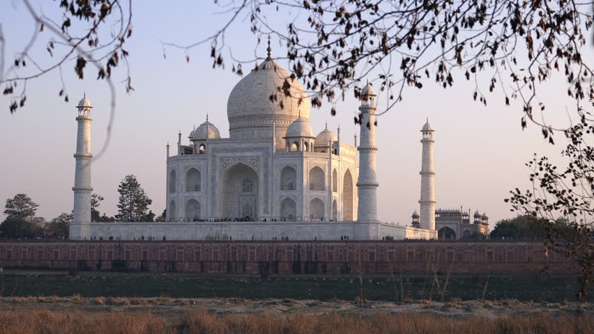 Early morning view on the Taj Mahal from the river side through trees in Agra in India.