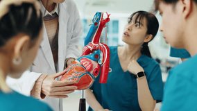 Cardiologist, medical students and heart anatomy model for demonstration for training and questions in Japan. People, pointing and atrium with doctor on lecture in with organ toy for healthcare - Powered by Shutterstock - Get 15% off with code: PIKWIZARD15