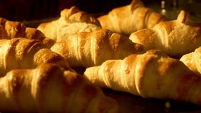 Croissant baked and rising in oven. French Croissant baking on black tray. Close-up of making golden croissants. Timelapse of freshly baked croissants. French bakery concept. Cinematic shot. 4K, UHD - Powered by Shutterstock - Get 15% off with code: PIKWIZARD15