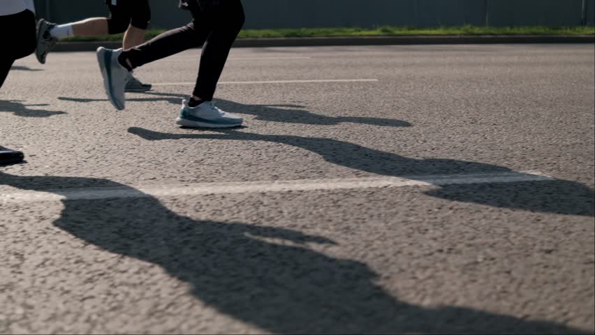 Shutterstock Video