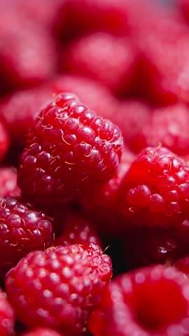 Pile of fresh red raspberries rotating. Sweet harvest. Organic vitamin product. Juicy raspberries. Stack of berries. Vertical video. Fruit pattern. Concept of healthy food. Close-up in 4K, UHD