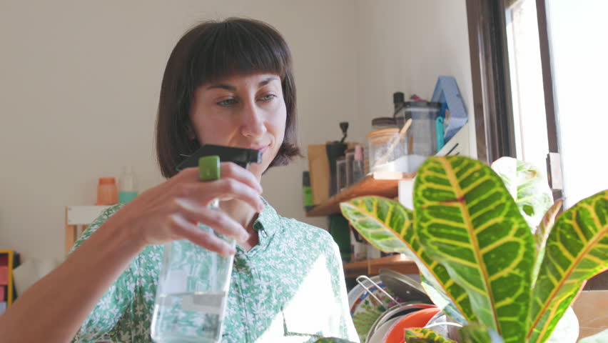 woman watering a flower. girl takes care of plants, home garden
